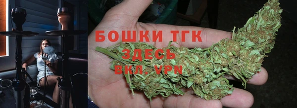 дживик Михайлов