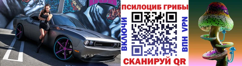 darknet телеграм  hydra рабочий сайт  Сусуман  Псилоцибиновые грибы Cubensis 